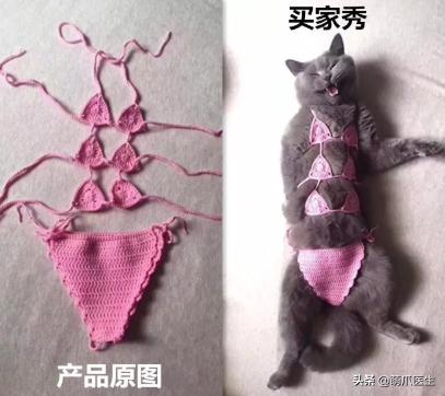 猫身上长了粉色疙瘩,公猫身上长了粉色的疙瘩