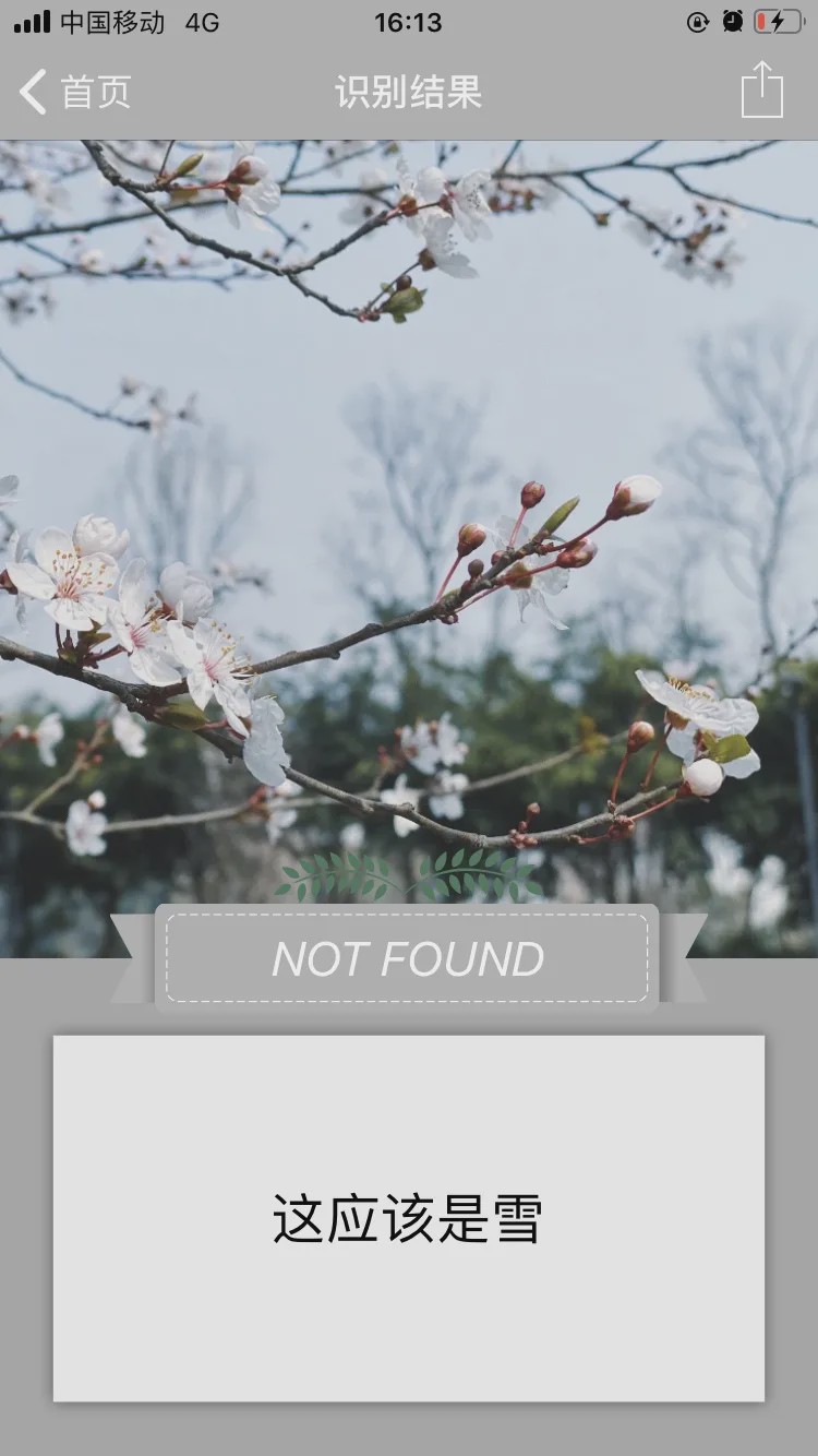 哪个识花软件最好用,识花app免费的哪个好