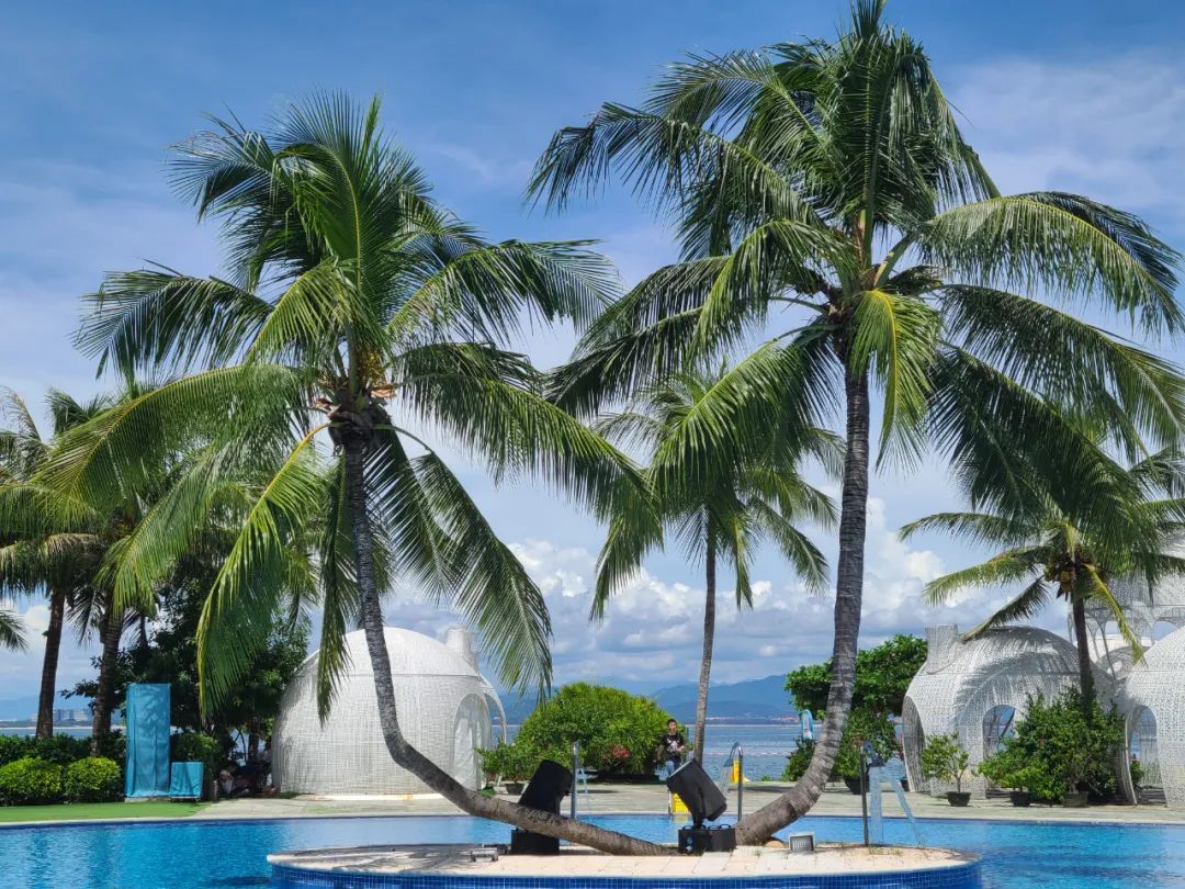 海南旅游纪实,海南旅游记录视频