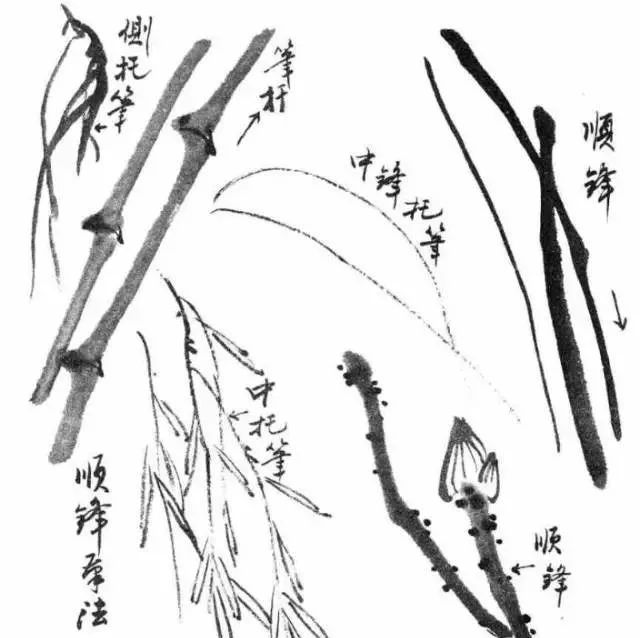 写意山水画入门基本功视频,山水画基本功弹簧的画法