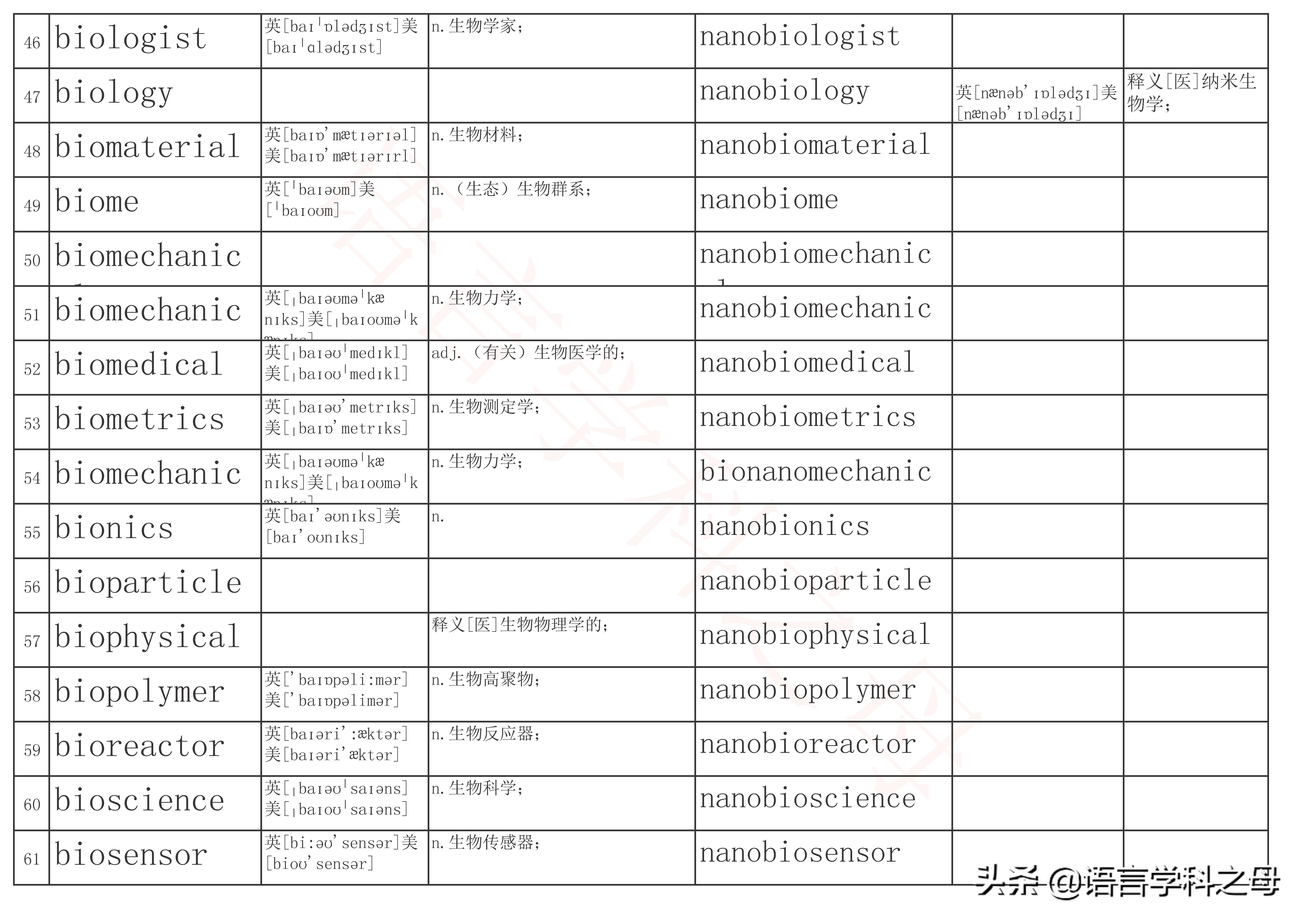 含有neo的单词,neo前缀的英文单词