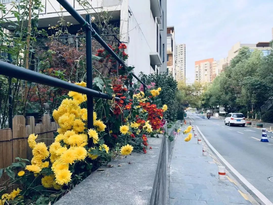 刚刚！我去江北一楼盘实探，惨遭售楼员无情白眼……