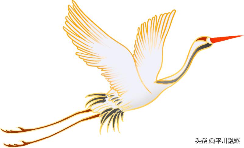 开发区关爱老人温暖重阳,重阳敬老情温暖老人心图片