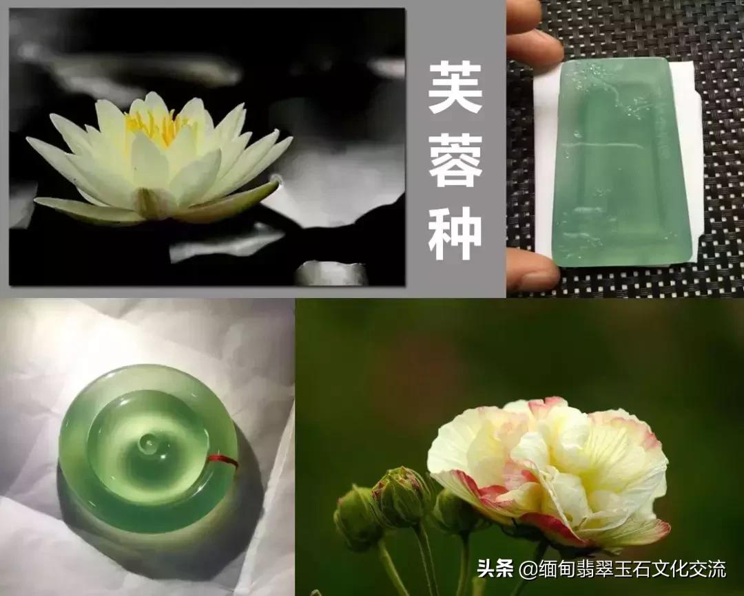 翡翠的种类及图片大全,翡翠的种类及图片详细介绍