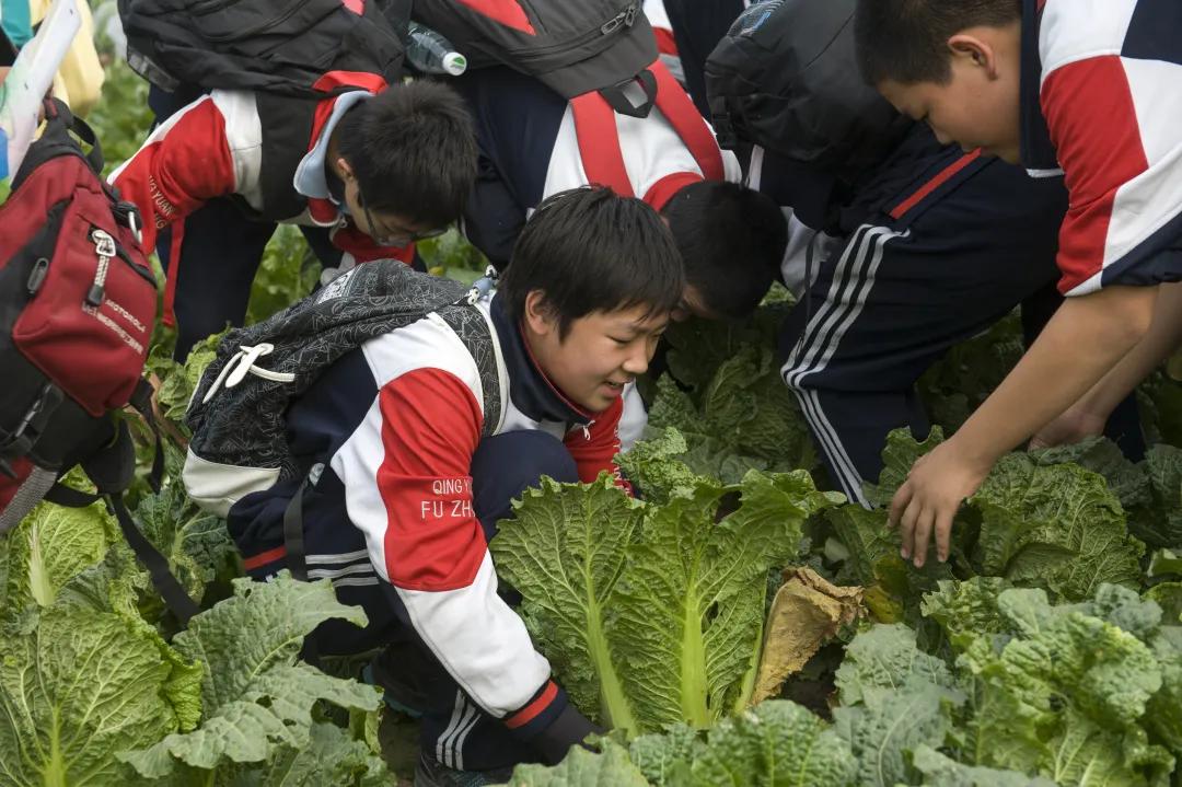 中央美术学院附属实验学校小学,中央美术学院附属实验学校怎么考