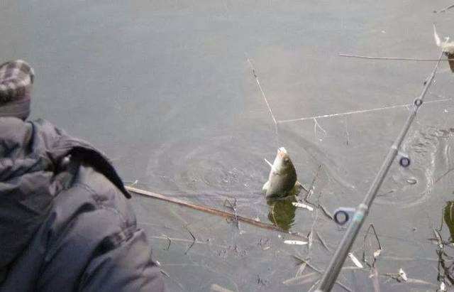 野钓调半水,半水调漂完整版视频