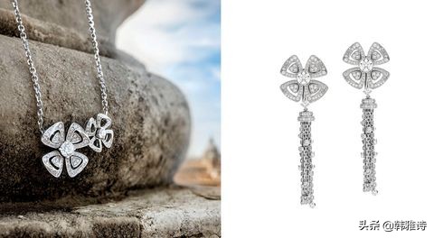 宝格丽欢沁玫香寓意,宝格丽永恒的花