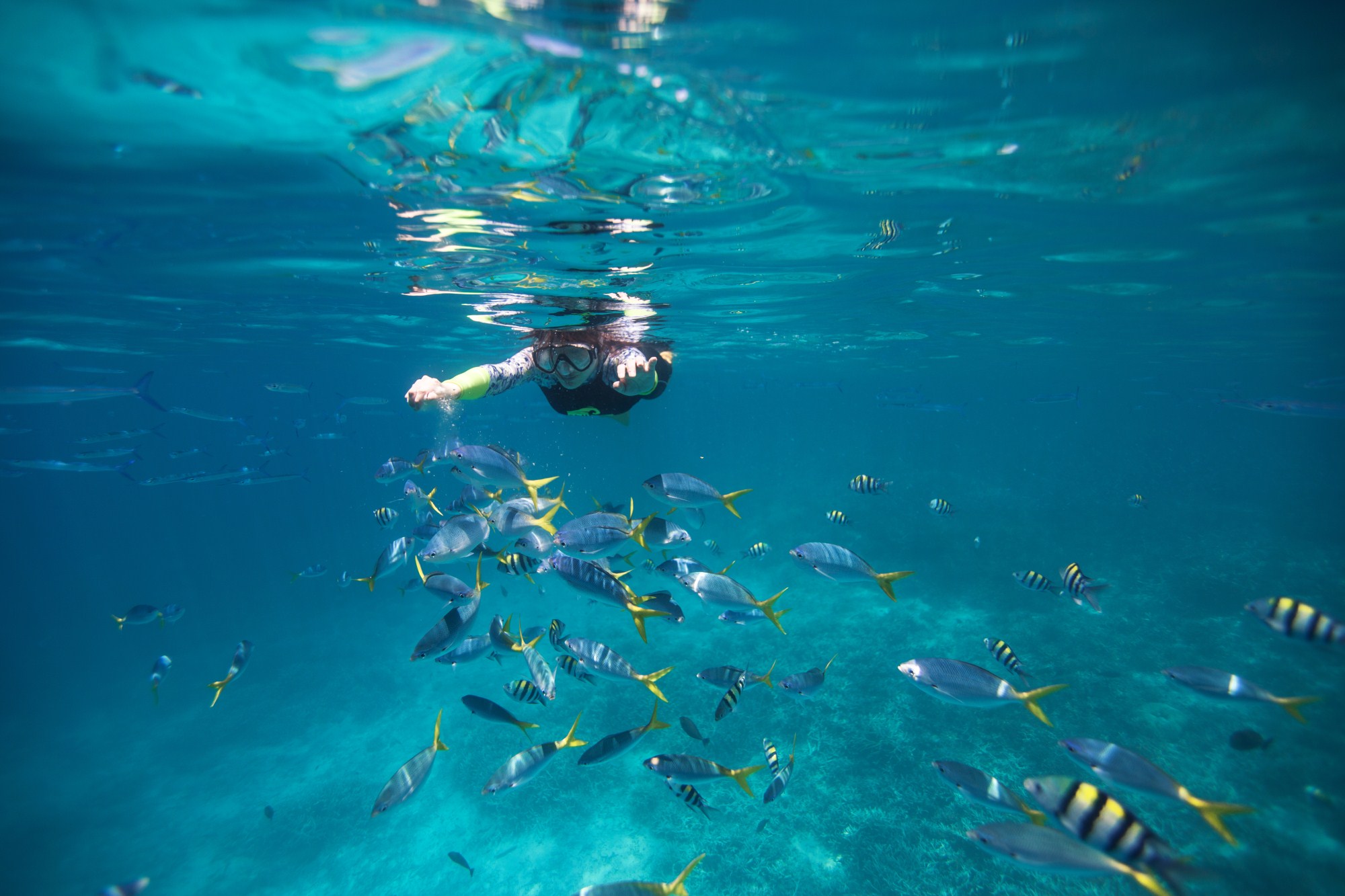 一定是特别的缘分——帕劳,再遇见「周若雪Patty」·上