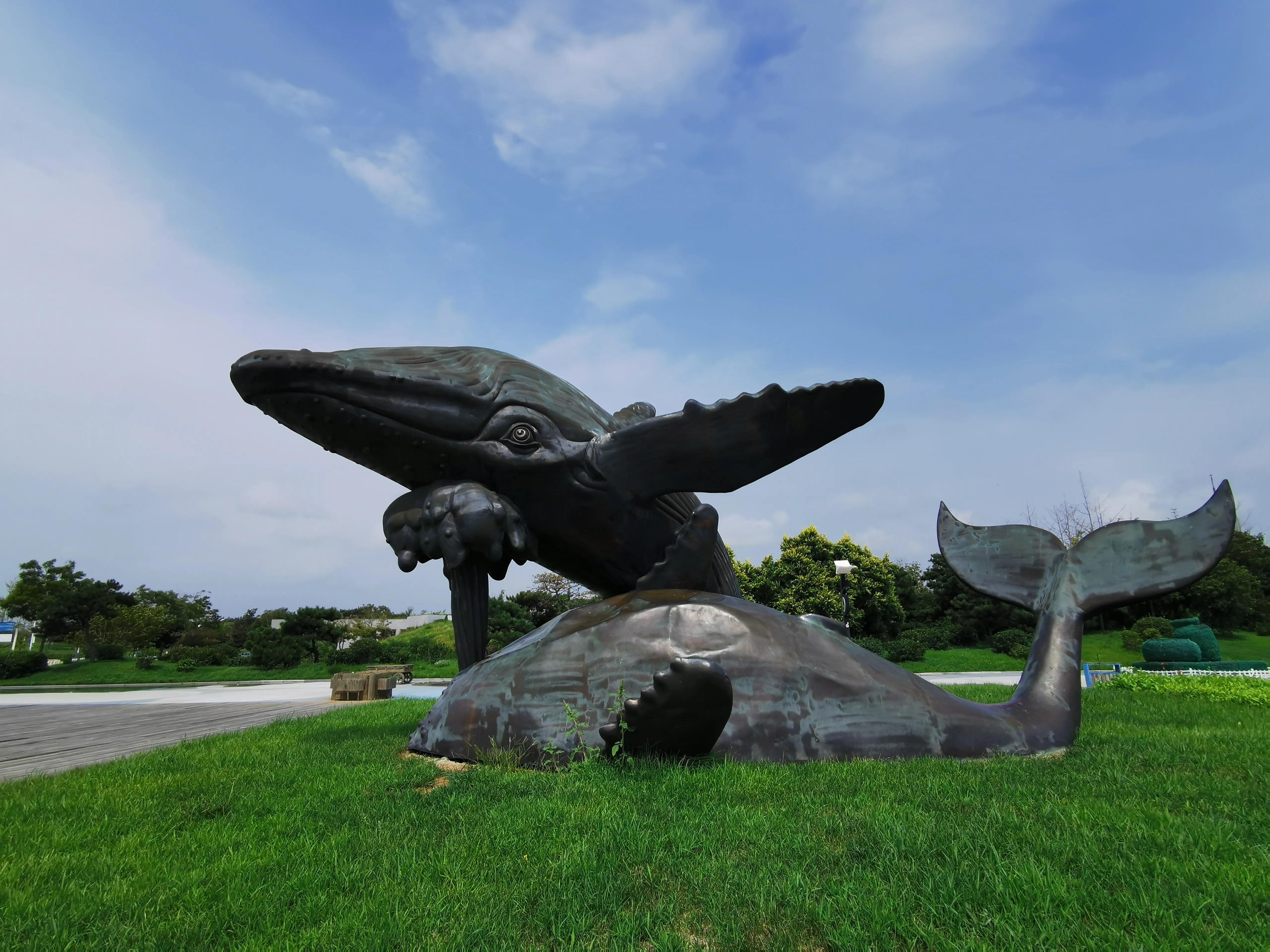 锦州世博园自驾游攻略路线,锦州世博园5个小时游玩攻略