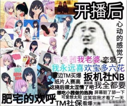 重生萝莉岛还是冲绳奴隶岛？让你看看二次元里让人误解的名字！