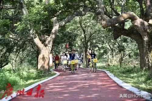 广州绿道攻略,广州旅游观光1线