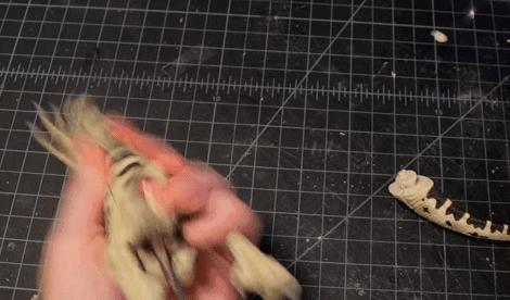 切碎可爱玩具再拼成鬼畜缝合怪，国外手工圈魔改创意大赛惊艳网友