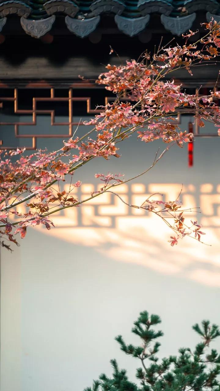 十首最美秋夜诗词,十首绝美夏天诗词大全