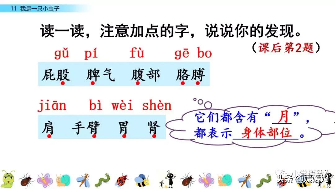 二年级下册我是一只小虫子课后题,二年级下册语文11我是一只小虫子