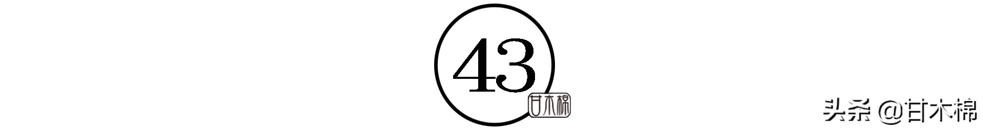 童年野果子,儿时的野果子总让人回味无穷