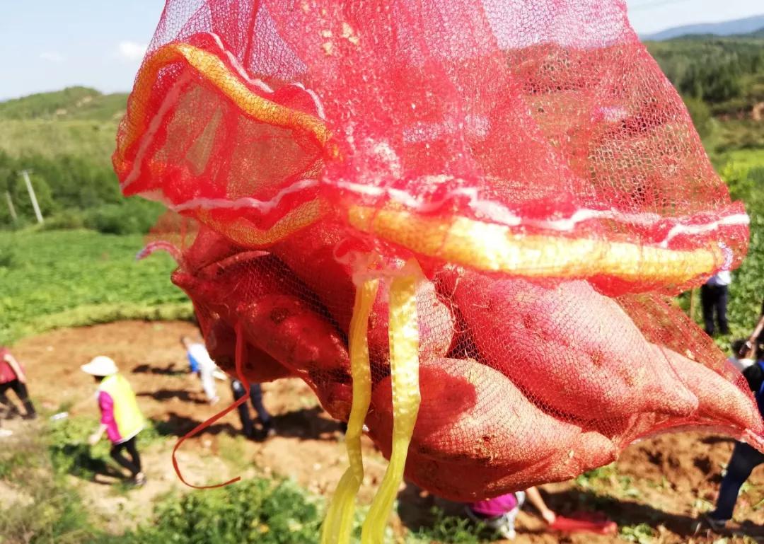 湖北十堰小时候的美食,十堰好吃的特色小吃