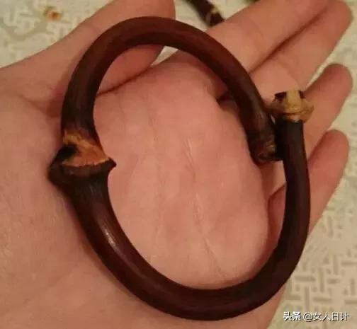 山上随便砍的藤条,竟然比金刚还牛逼!(附带制做方法)