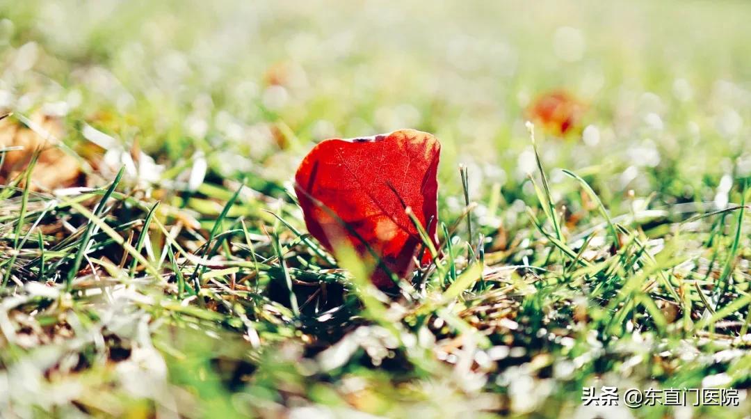 二十四节气中医养生茶,二十四节气道家功法