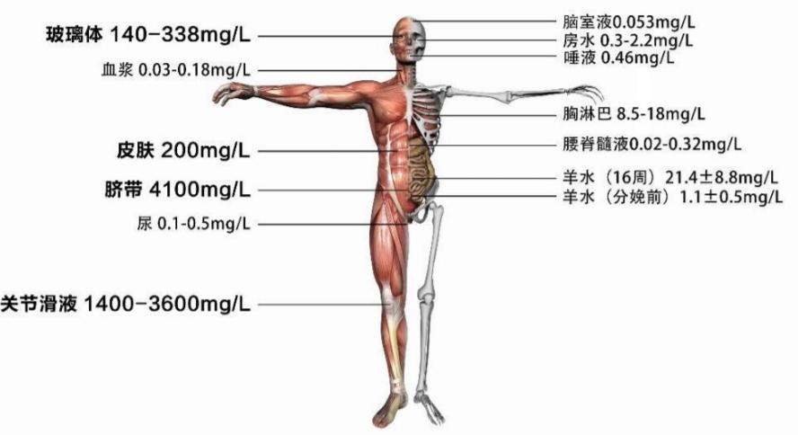 玻尿酸浮起来了,玻尿酸有回落吗