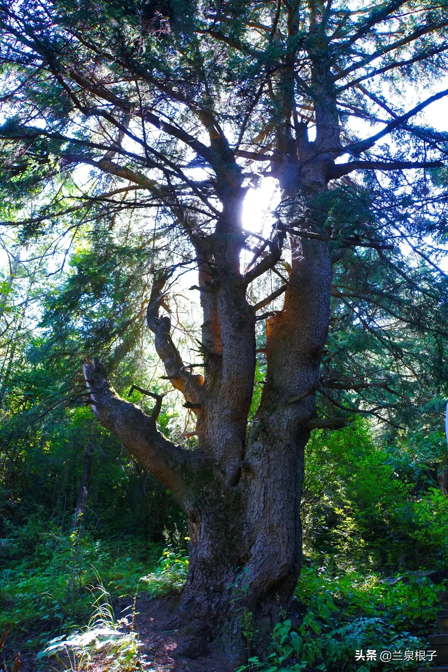 秋天的孟达天池,美丽的孟达天池