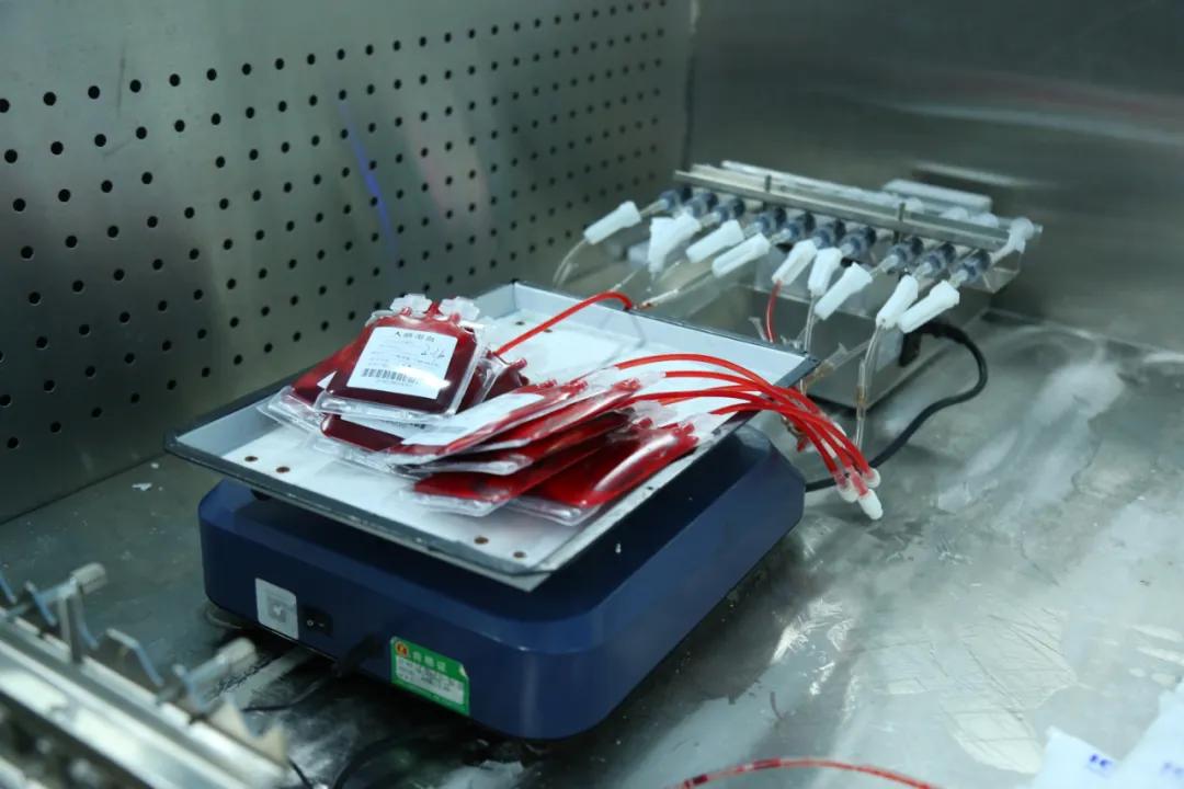 「脐趣百科」潜力无限,满满“黑科技”——挖宝脐带血的新技术