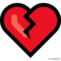 生物的多样性之美,生物多样性之美介绍