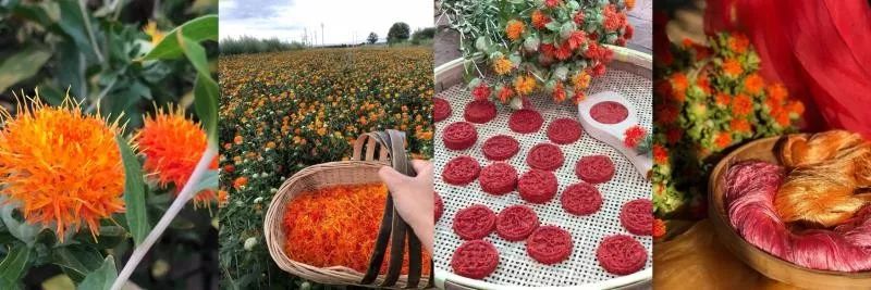 女神设计师把传统文化融入时装设计,带你穿越到最美大唐