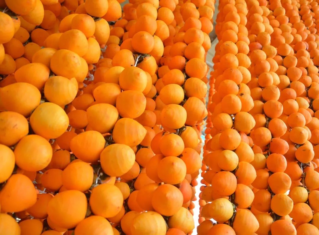 正宗的富平柿饼知识普及，记得收藏