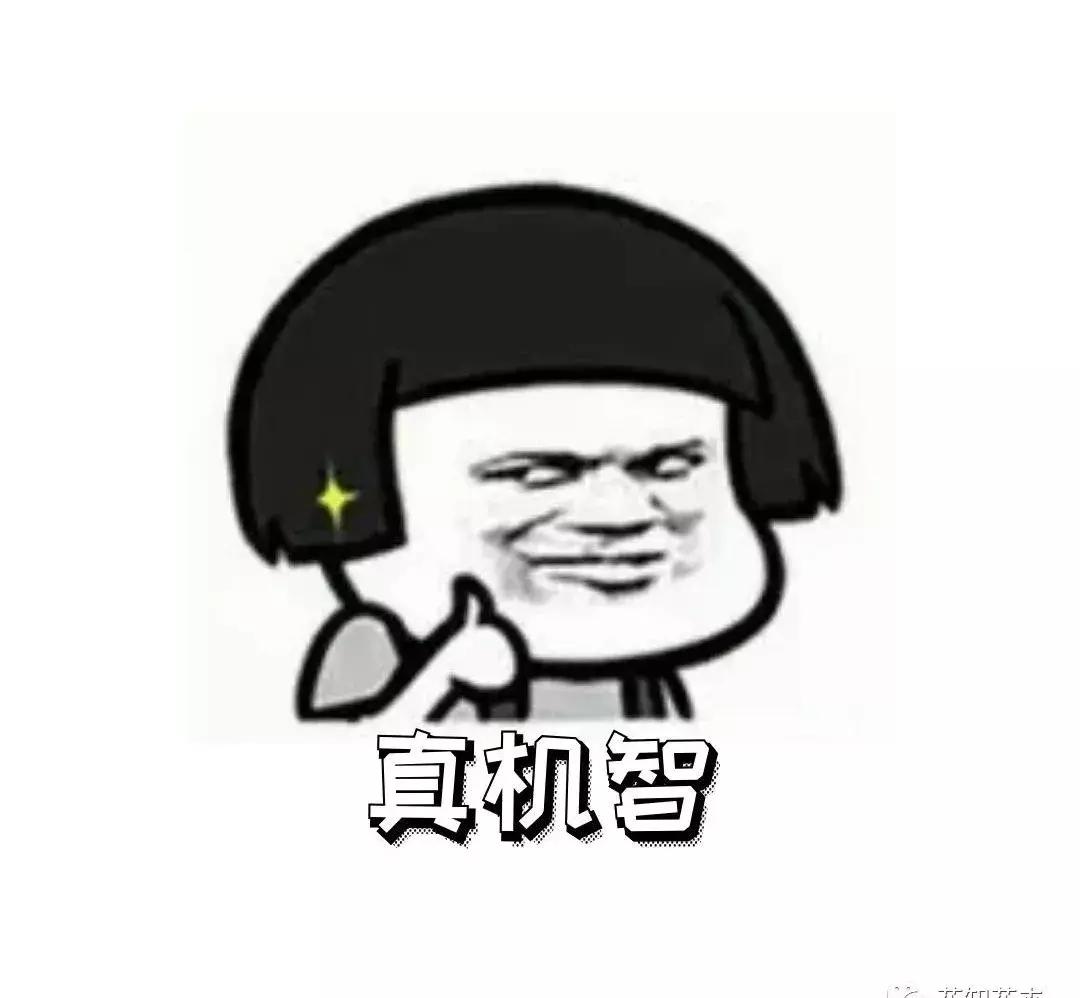 鲜花为什么最爱这一口！｜花呆子的荷兰鲜花游记（二）