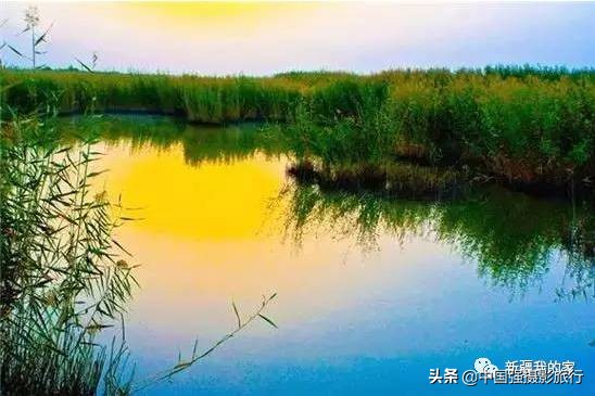 又一封辞职信火了，*疆新**人已传疯