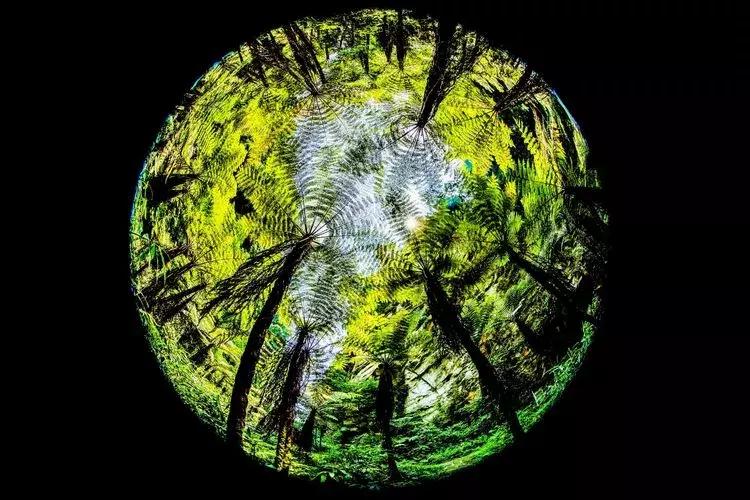 乐山这里藏着一片旖旎好风光,乐山旅游推荐