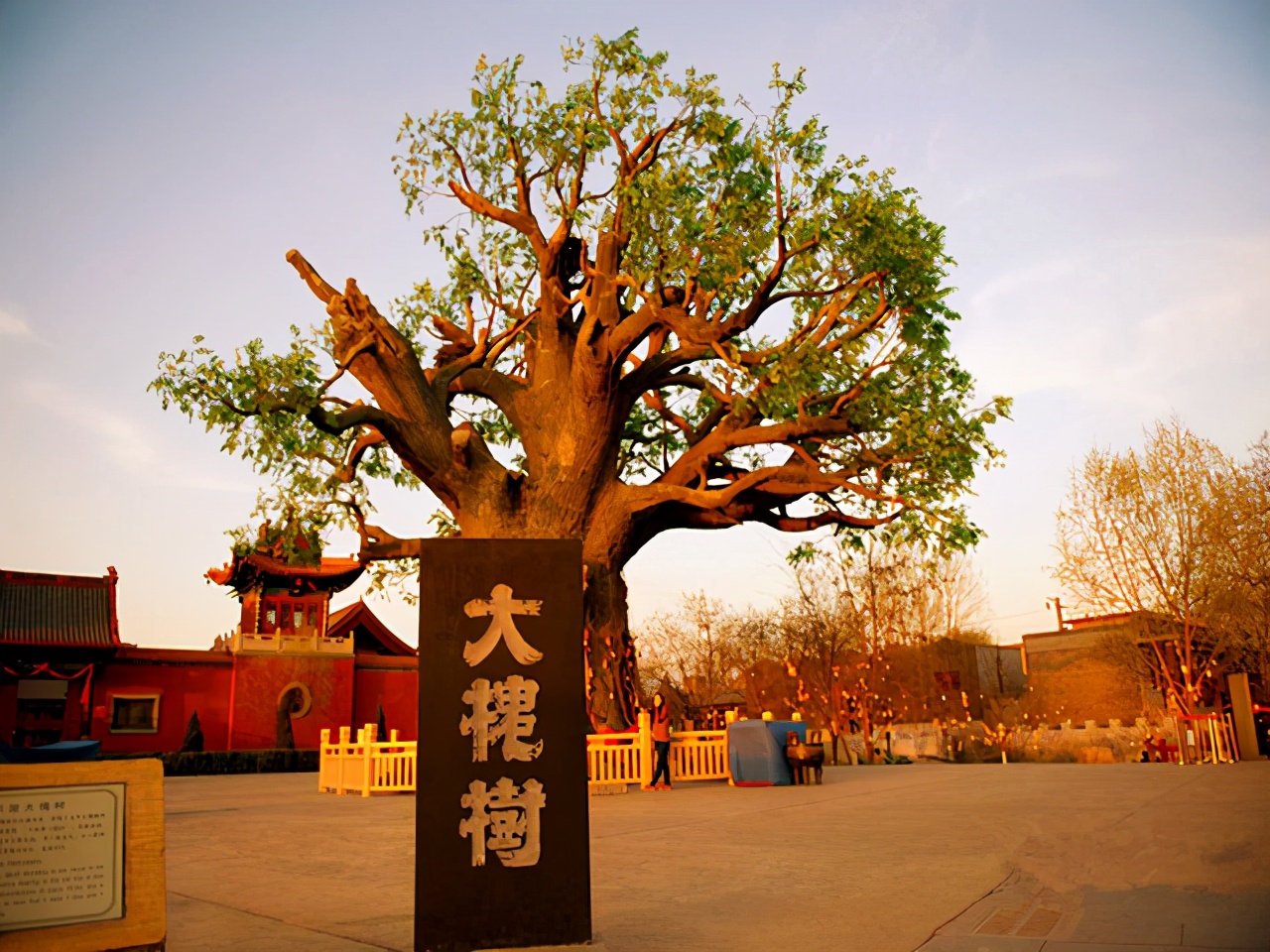 小脚趾分两瓣的人是哪个民族,汉族人为什么小脚趾长了两瓣指甲