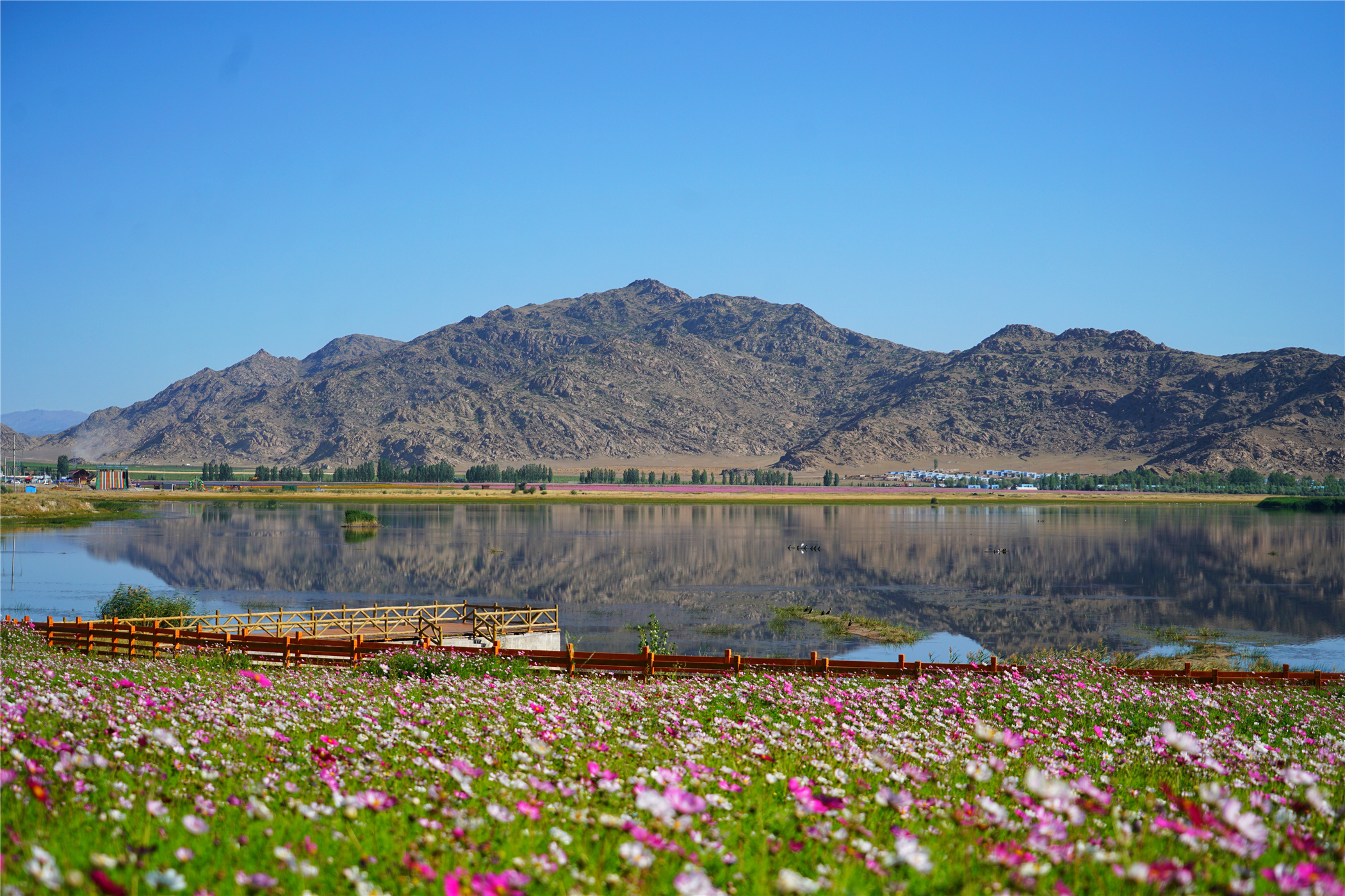 7月新疆可可托海,冬天去可可托海有什么值得看