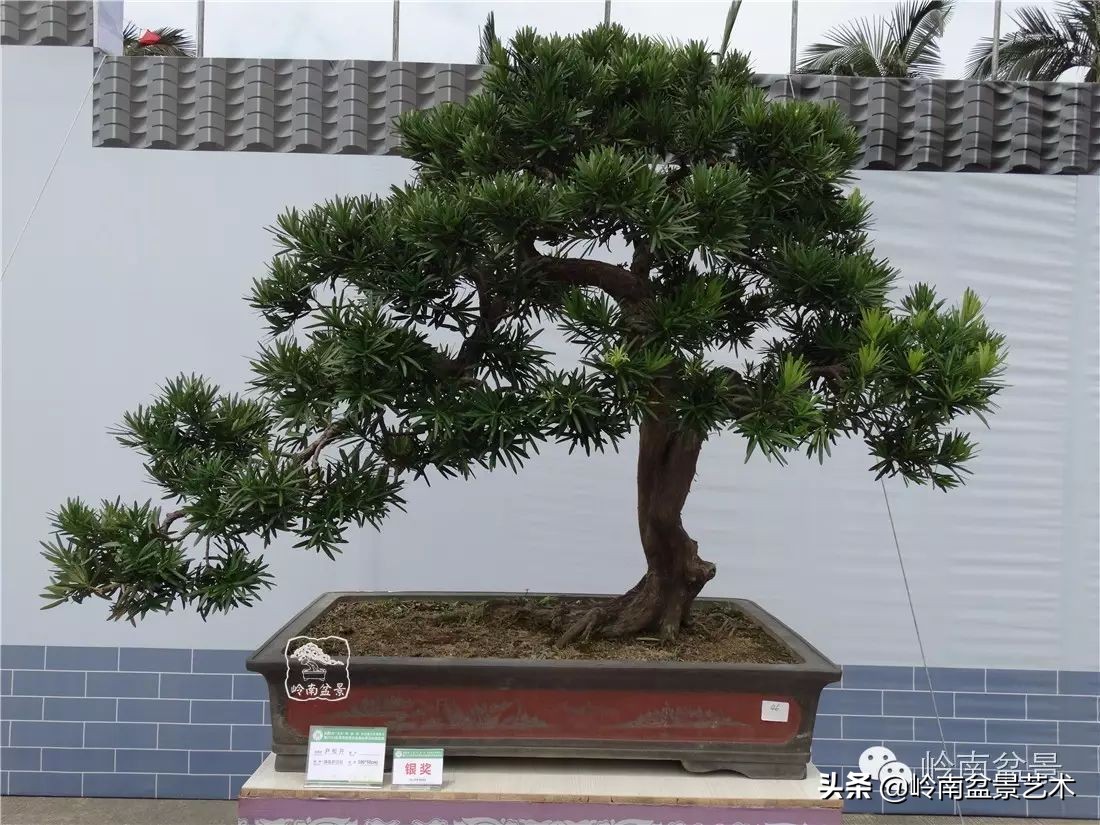 开运招财，非其莫属！清风雅韵，当之无愧！