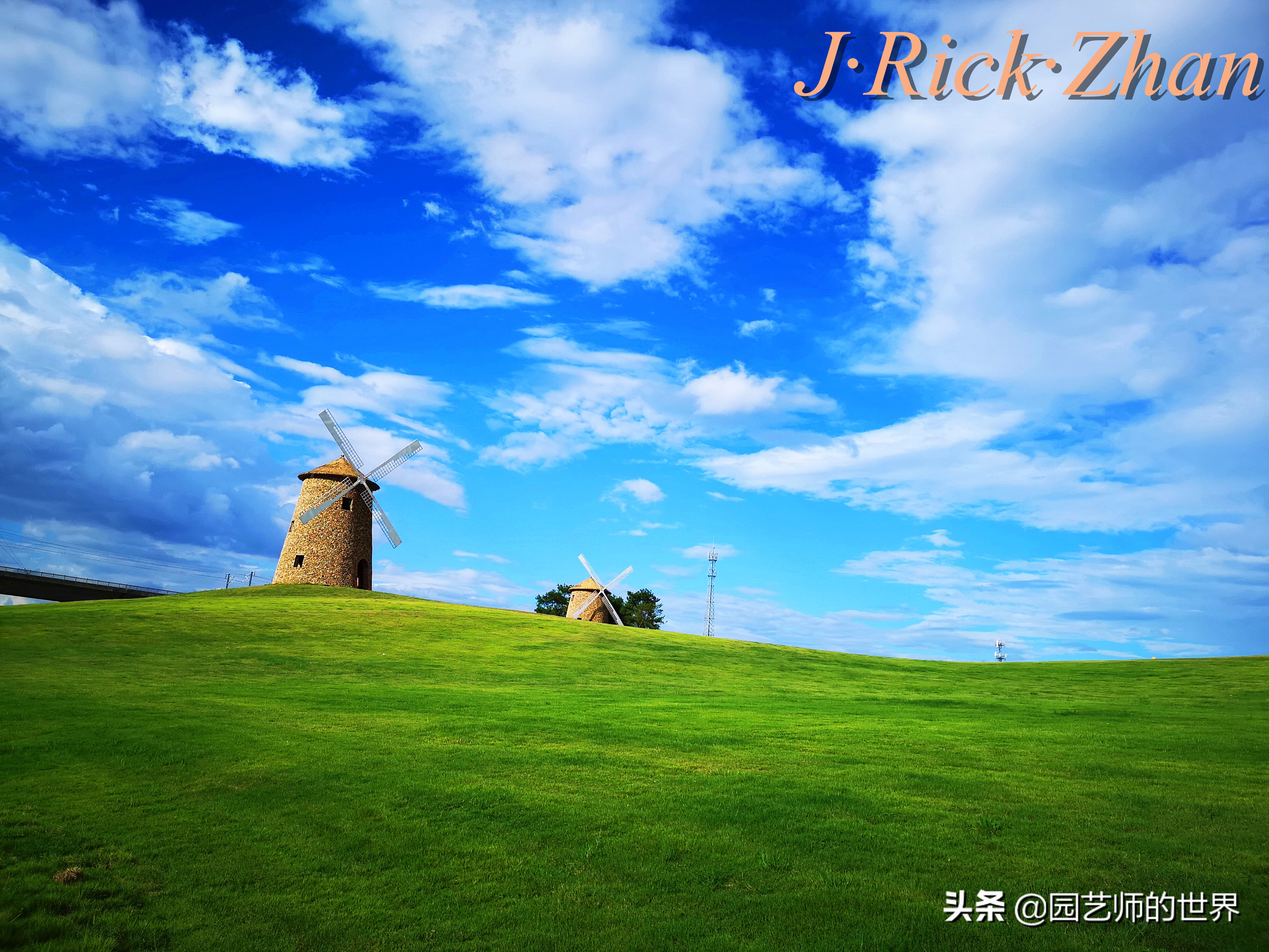 果岭草坪的种植养护方法及技巧,怎么种植一个可以躺的草坪