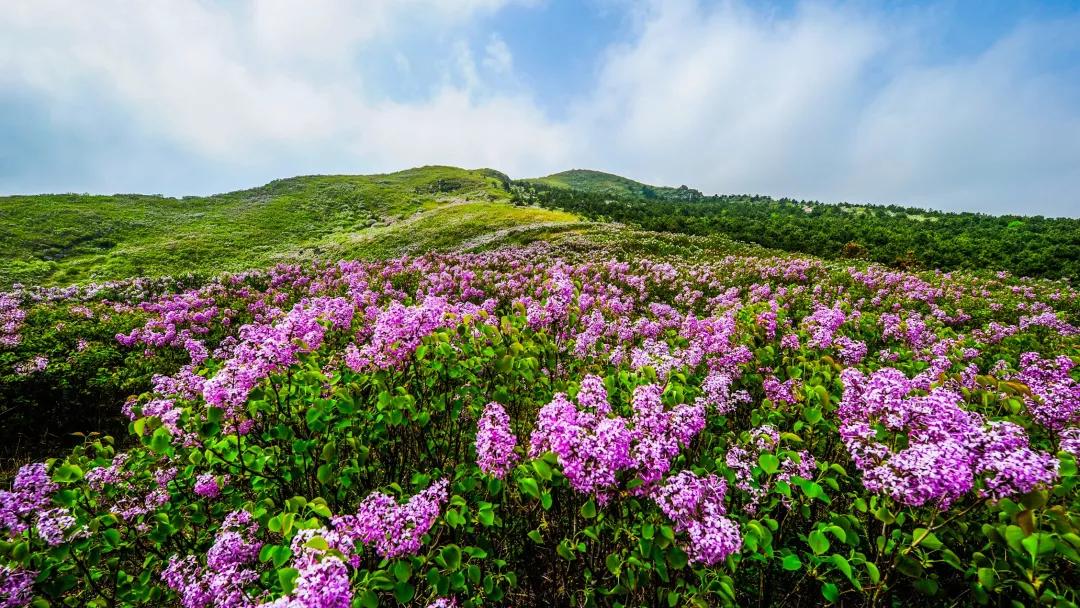 云霞海岛旅游攻略,云霞带你看世界