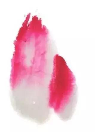 白描荷花的画法图片,如何画荷花国画白描