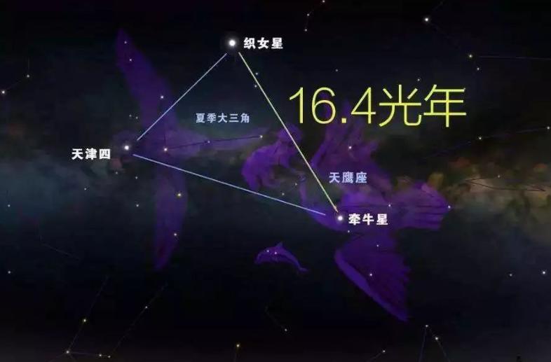 七夕情人节，牛郎织女只是传说，实际咸鱼上的“舔狗拍卖”太扎心