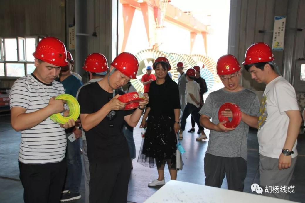 欢迎*疆新**自治区市场监督管理局领导莅临胡杨线缆公司交流学习