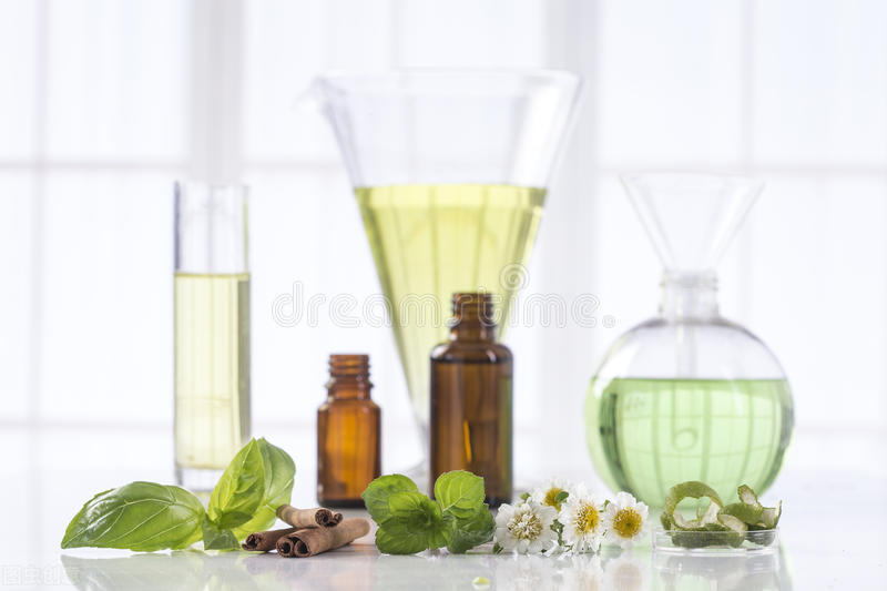 植物的能量和疗愈,植物的灵性和疗愈的力量