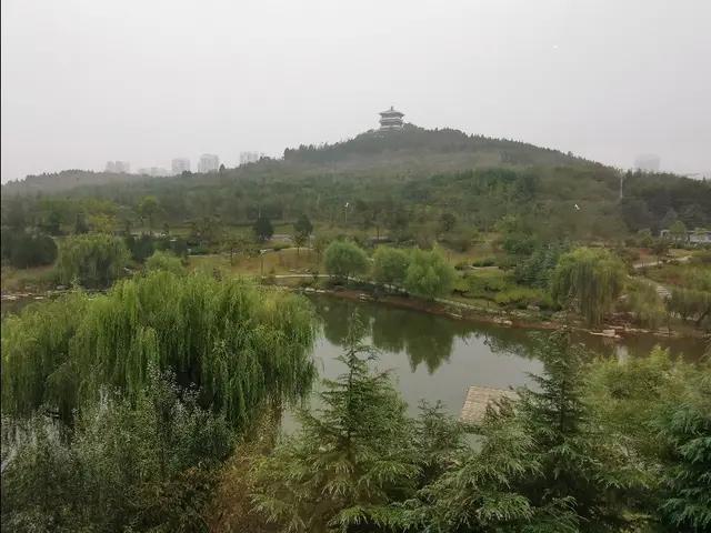 枣庄的星级酒店,枣庄五星级酒店有哪几个