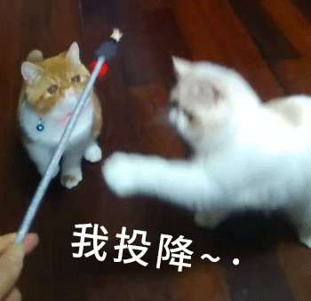 奇怪!一篇连加减乘除都没算对的帖子挽救了燕郊楼市的尊严!