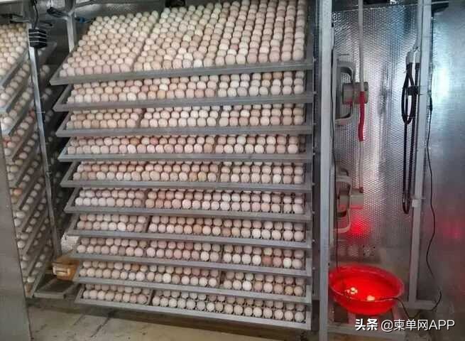 中国人在柬埔寨月入过万,柬埔寨人一般收入靠什么