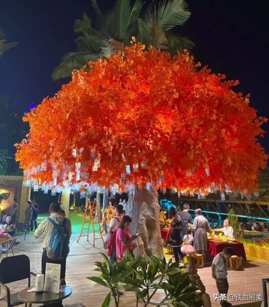 西双版纳景洪市景色壮丽的地方,西双版纳景洪市有什么好玩的景点