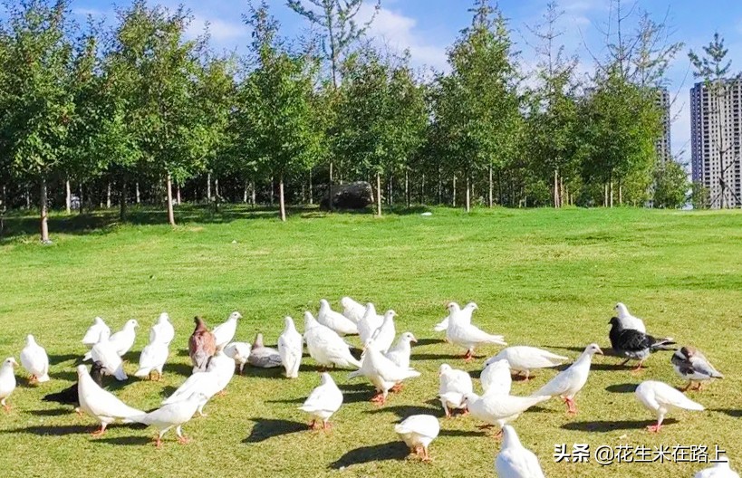 西安冬季带娃好去处户外公园,西安遛娃一日游的绝佳去处公园