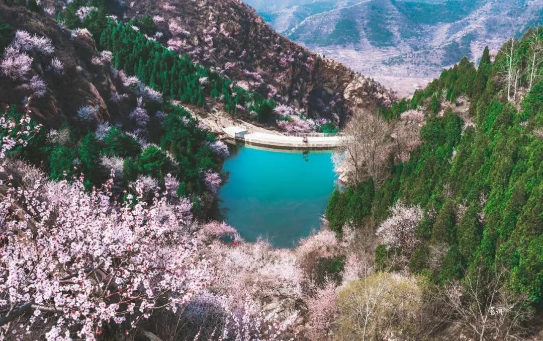 一个不出郑州的踏青好去处,天津春游公园推荐