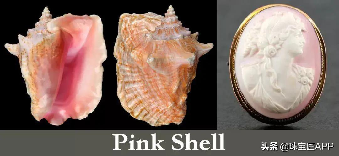 贝壳手工珠宝首饰,贝壳珠宝有哪些