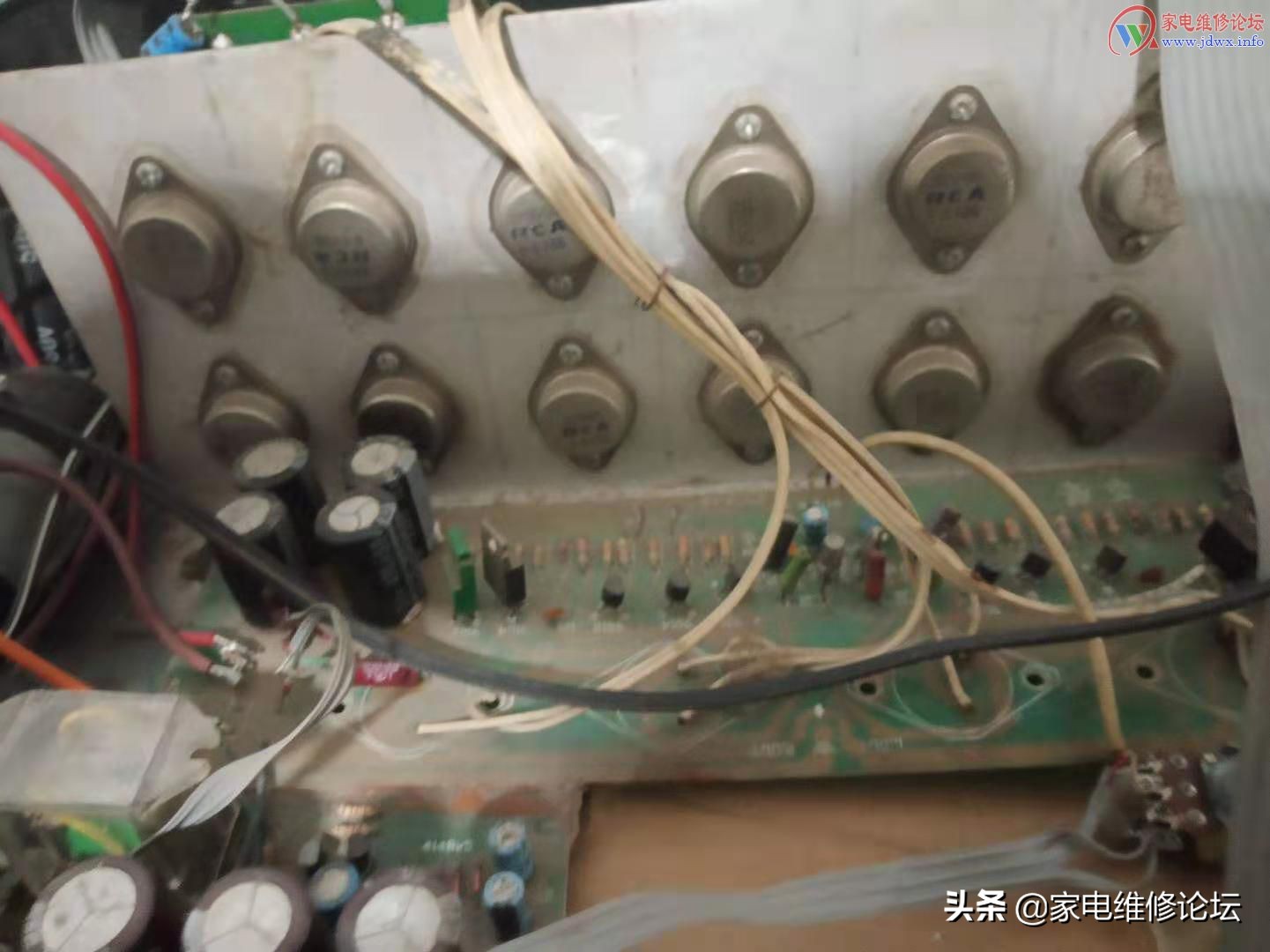 绔嬬櫧鍔熸斁,绔嬬櫧鍔熸斁鎺ㄨ崘