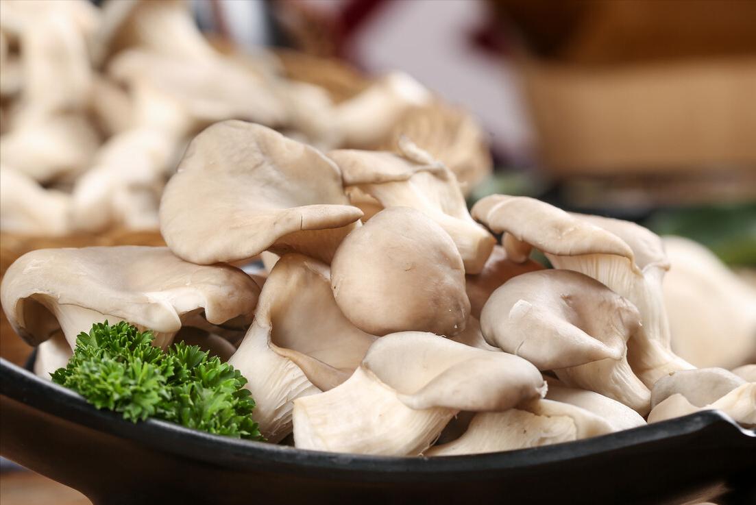 干炸蘑菇怎么炸好吃又简单,干炸蘑菇怎么酥脆好吃