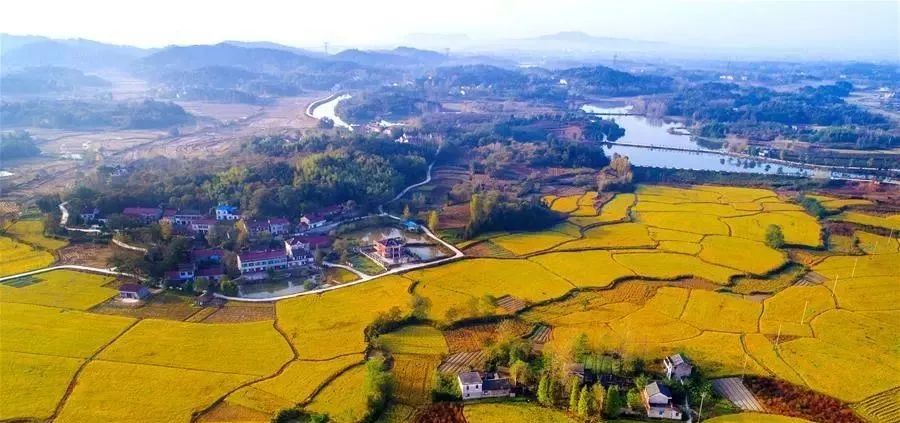 国家乡村振兴战略规划第二个五年,乡村振兴战略规划公立性卫生室